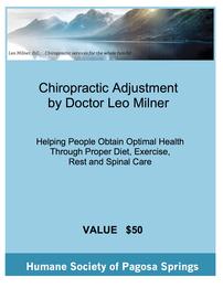 Chiropractic Adjustment by Dr Leo Milner EXP 01/02/2020 202//261